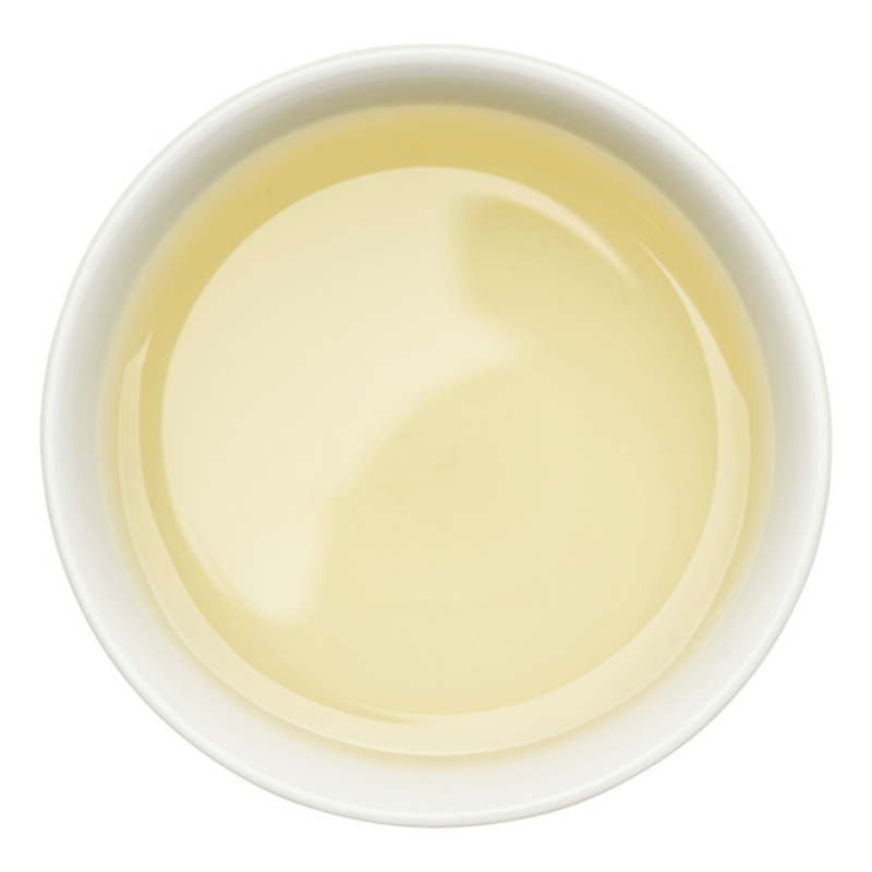 Marinade Extra Ref.199