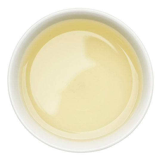 Marinade Extra Ref.199