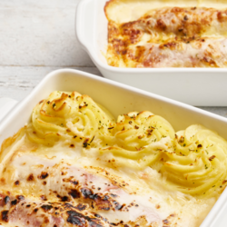 Chicons gratin avec pureé